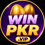 WINPKR.vip APK Features, Download Guide